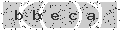 verify code